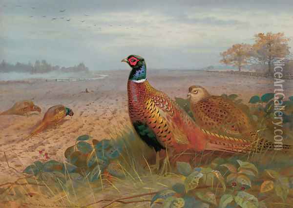 The Sentinel Oil Painting - Archibald Thorburn