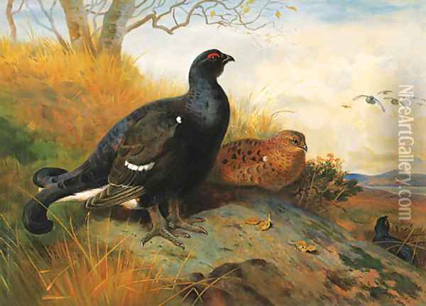 Blackgame on a rocky Outcrop beneath a Tree, a lake beyond Oil Painting - Archibald Thorburn