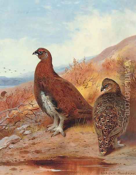 A pair of red grouse, in moorland Oil Painting - Archibald Thorburn