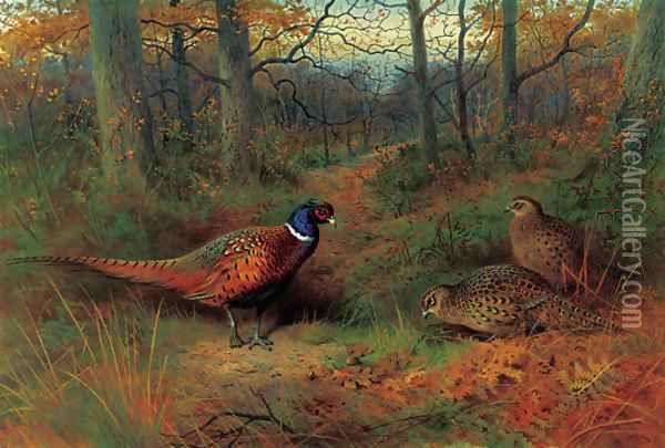 On the ride A cock and two hen pheasant in autumn Oil Painting - Archibald Thorburn