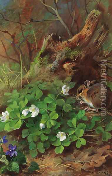 Woodmouse and wood sorrel Oil Painting - Archibald Thorburn