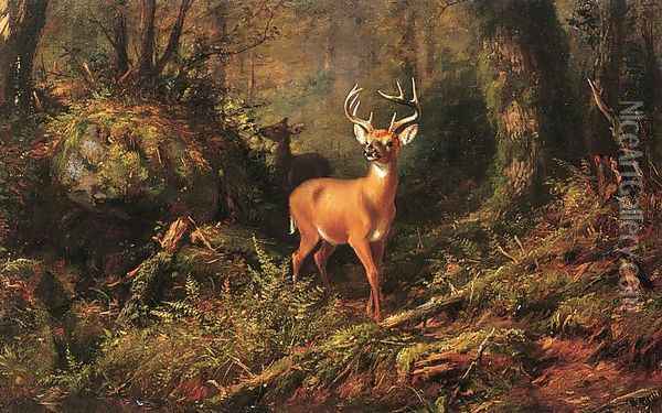 The Adirondacks Oil Painting - Arthur Fitzwilliam Tait