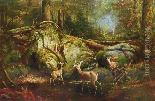 Deer in the Adirondacks Oil Painting - Arthur Fitzwilliam Tait