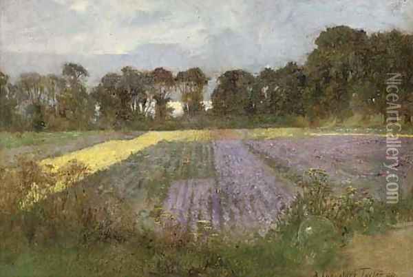 Summer meadows Oil Painting - Albert Chevallier Tayler
