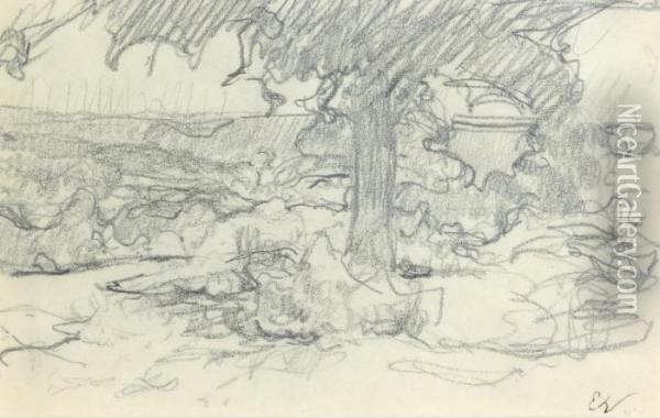 Paysage Avec Un Arbre Au Centre Oil Painting - Jean-Edouard Vuillard