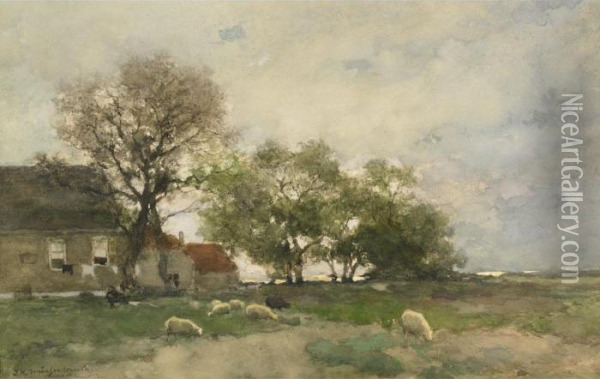 Dutch Farm Scene With Sheep Grazing Oil Painting - Jan Hendrik Weissenbruch