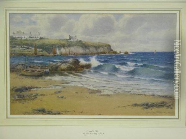Cemaes Bay Oil Painting - Warren Williams