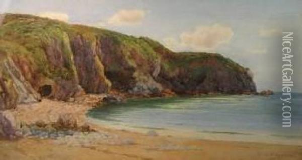 Coastal Scenes Oil Painting - Warren Williams