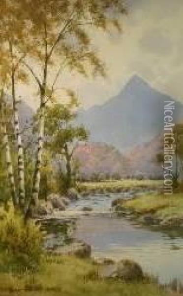 Snowdonia River Scene With Silver Birches Oil Painting - Warren Williams