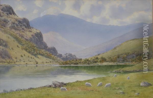 Llyn Gwynant,snowdonia, Sheep Grazing By A Lake Oil Painting - Warren Williams