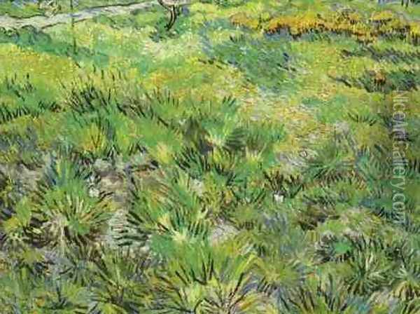 Meadow In The Garden Of Saint Paul Hospital Oil Painting - Vincent Van Gogh