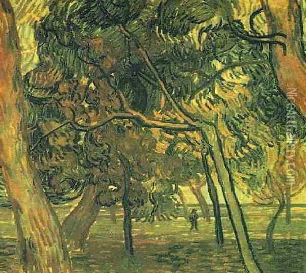 Study Of Pine Trees Oil Painting - Vincent Van Gogh