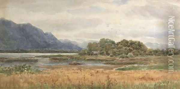 View from the Lake Hotel, Killarney Oil Painting - Alexander Williams