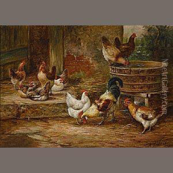 Barnyard Fowl Oil Painting - Arthur Fitzwilliam Tait