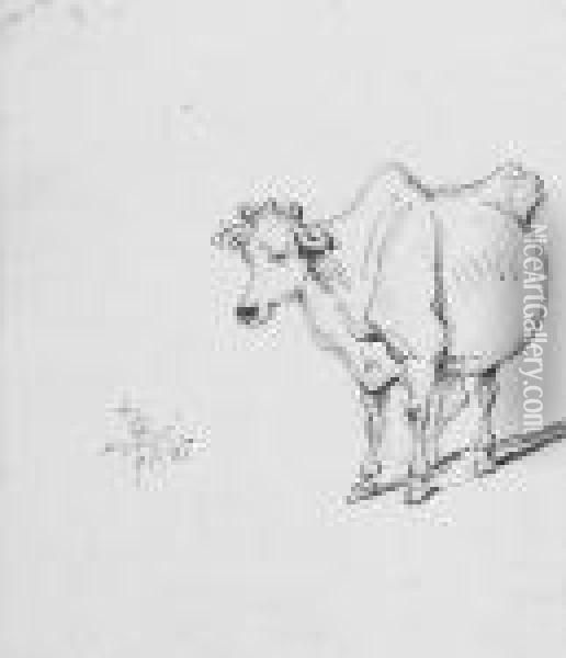 Study Of A Cow Oil Painting - George Chinnery