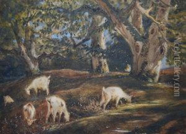 Sheep Grazing On A Wooded Hillside Oil Painting - Jules Dupre