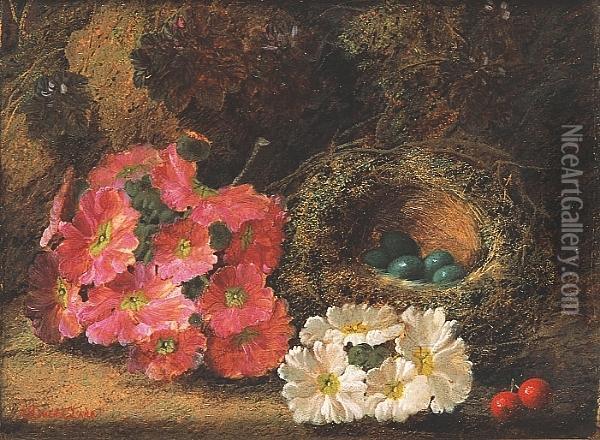Pink And White Flowers And Two Red Berries By A Bird's Nest Against A Bank Oil Painting - Oliver Clare