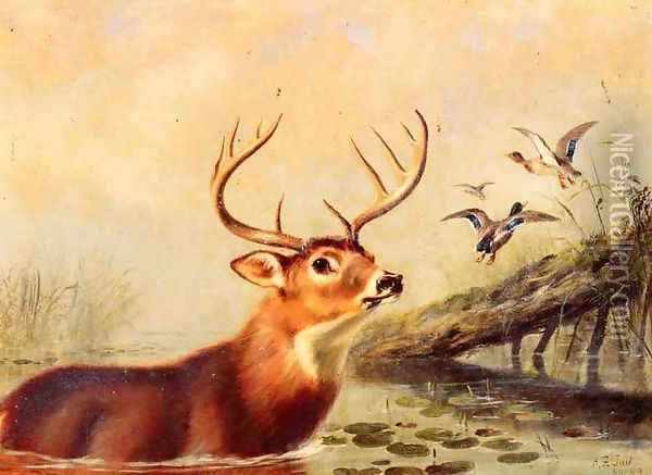 Buck in a Marsh Oil Painting - Arthur Fitzwilliam Tait