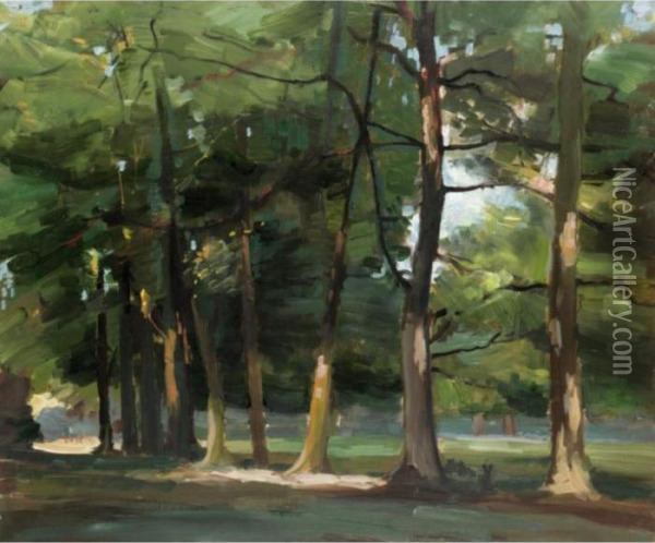 Cedars At Combe Bank, Near Sevenoaks, Kent Oil Painting - Arthur Ernest Streeton