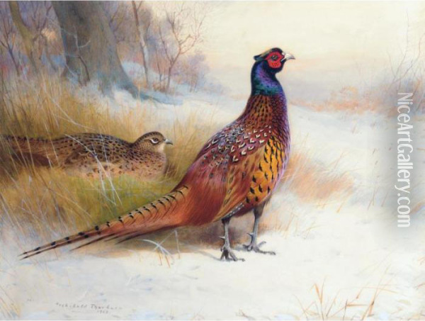 A Pair Of Pheasants In The Snow Oil Painting - Archibald Thorburn