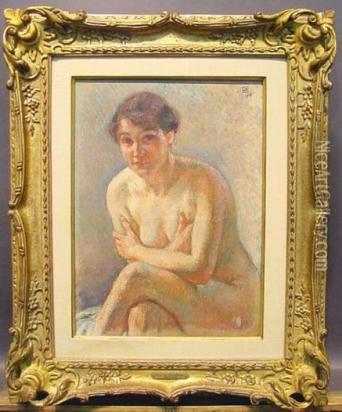 Female Nude Oil Painting - Theo van Rysselberghe
