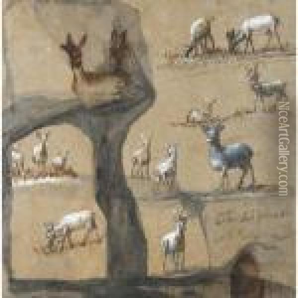 A Sheet Of Studies Of Deer Oil Painting - Claude Lorrain (Gellee)