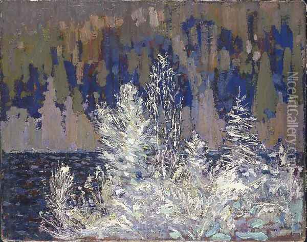 Frost-laden Cedars, Big Cauchon Lake Oil Painting - Tom Thomson