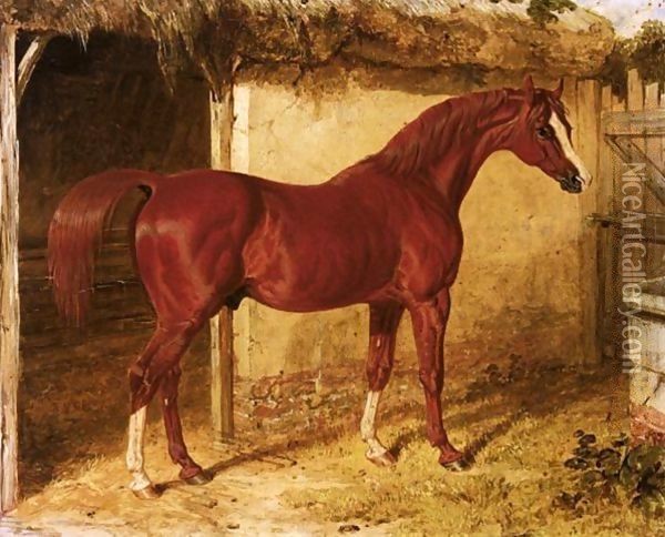 Langar, A Chestnut Racehorse Outside A Stable Oil Painting - John Frederick Herring Snr