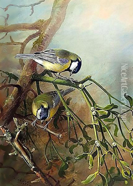 Blue Tits Oil Painting - Archibald Thorburn