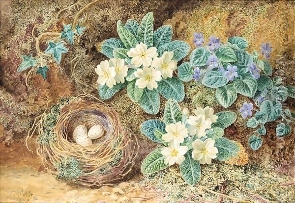 Still life of birds nest with primroses and ivy Oil Painting - Thomas Collier