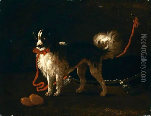 Ritratto Di Spaniel Con Collare Rosso Oil Painting - Giacomo Ceruti (Il Pitocchetto)