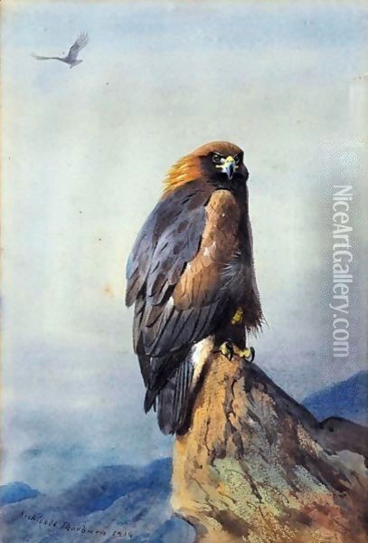A Golden Eagle 2 Oil Painting - Archibald Thorburn