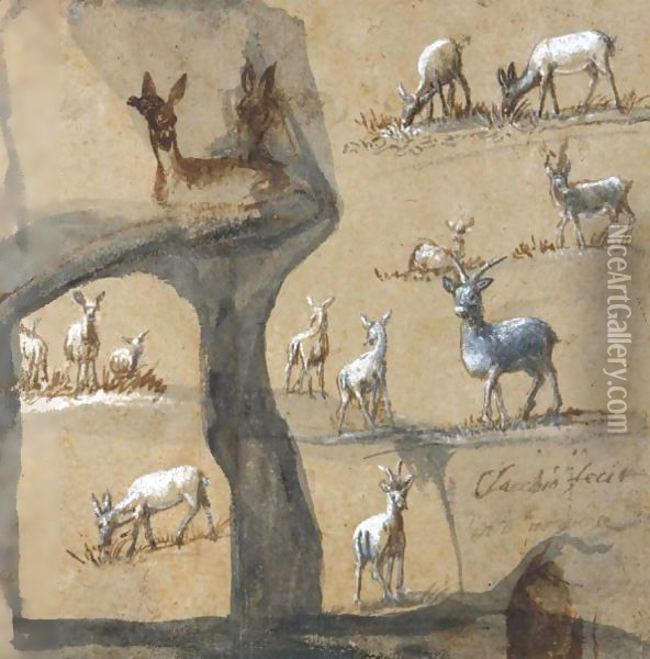 A Sheet Of Studies Of Deer Oil Painting - Claude Lorrain (Gellee)