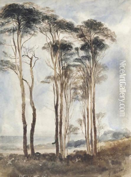 Scots Pines Oil Painting - Andrew Nicholl