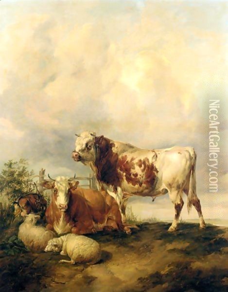 A Bull And Cow, Two Sheep And A Goat Oil Painting - Thomas Sidney Cooper