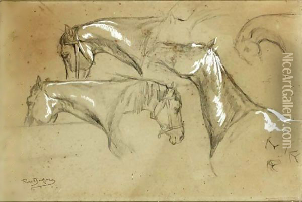 Studies Of Horses Oil Painting - Rosa Bonheur