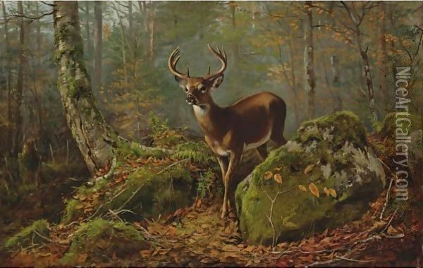 Buck In The Forest Oil Painting - Arthur Fitzwilliam Tait