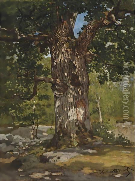 Un Chene Au Bas-Breau, Le Bodmer Oil Painting - Claude Oscar Monet