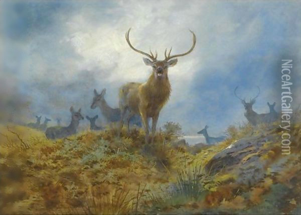 The Last Chance Before Dark Oil Painting - Archibald Thorburn