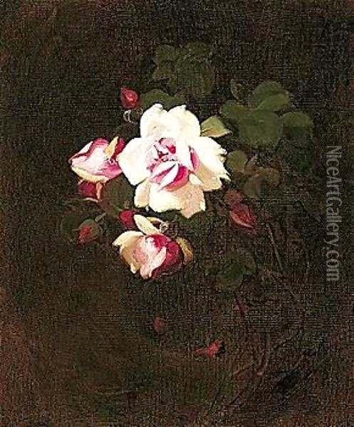 Pink Roses 3 Oil Painting - James Stuart Park