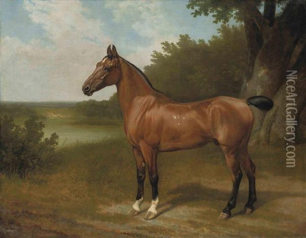 Lord Bingley's Hunter In A Wooded River Landscape Oil Painting - Jacques Laurent Agasse