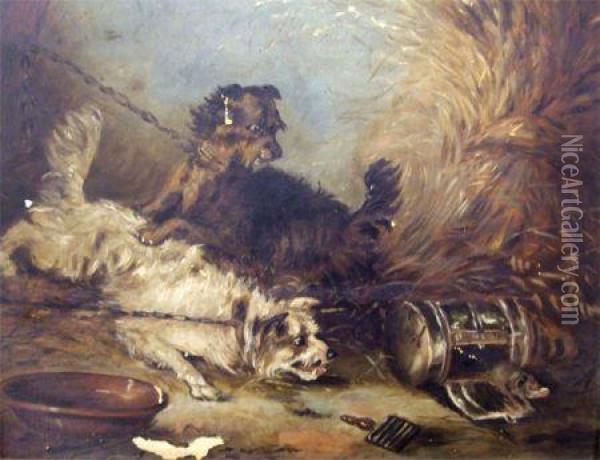 Terriers Ratting In A Barn Oil Painting - George Armfield