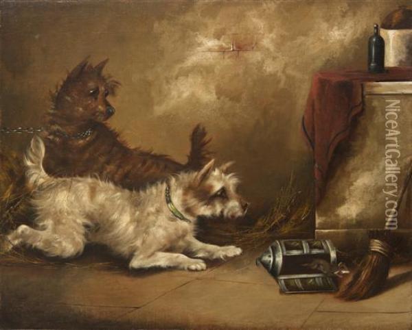 Terriers Ratting In A Barn Oil Painting - George Armfield