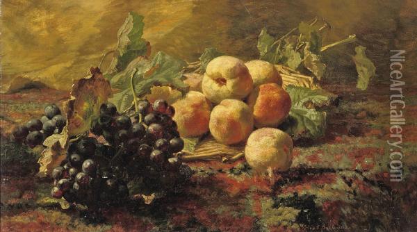 Blue Grapes And Peaches In A Wicker Basket Oil Painting - Geraldine Jacoba Van De Sande Bakhuyzen