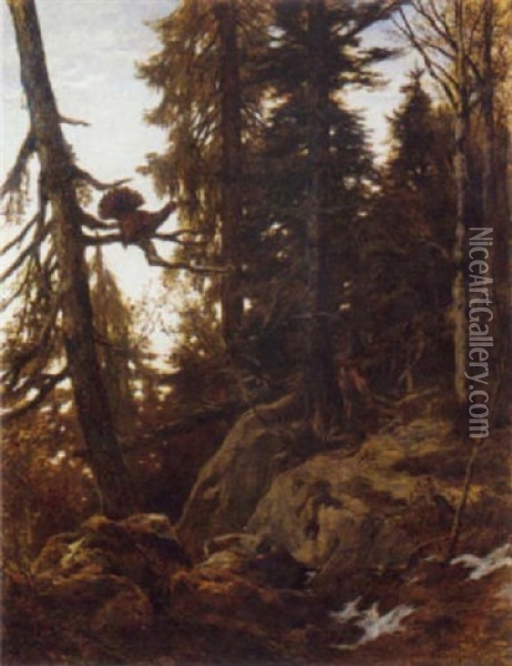 A Heath Cock Roosting In An Alpine Forest Oil Painting - Franz Xaver von Pausinger