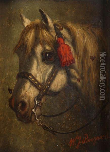 Opgetuigd Paardenhoofd Oil Painting - Willem Jacobus Boogaard