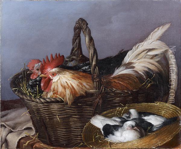 Un Coq Et Une Poule Dans Un Panier Et Des Pigeonneaux Dans UnChapeau De Paille Oil Painting - Giacomo Ceruti (Il Pitocchetto)