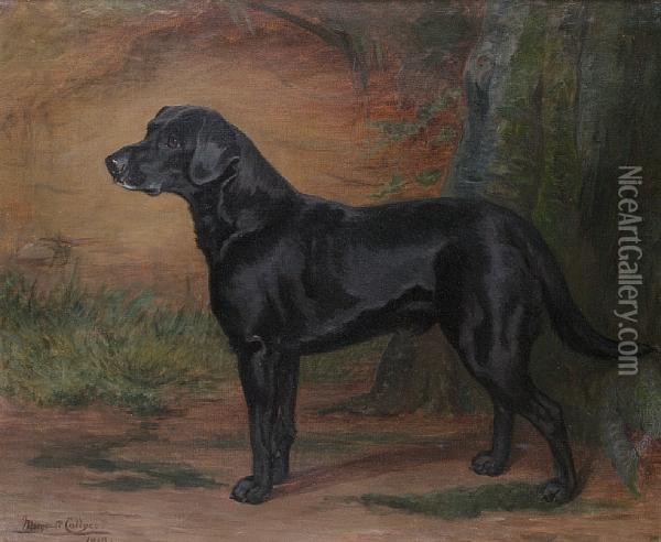 Portrait Of A Black Labrador Oil Painting - Margaret Collyer