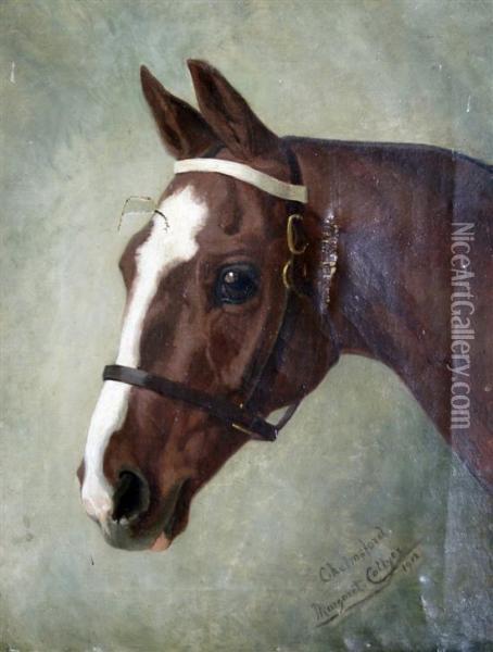Portrait Of A Horse 'chelmsford' Oil Painting - Margaret Collyer