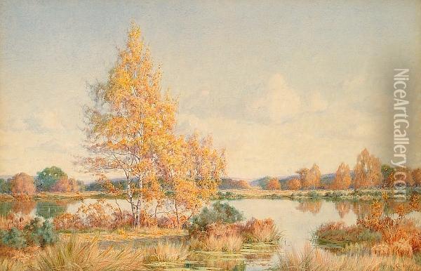 An Autumnal River Landscape. Oil Painting - Byron Cooper